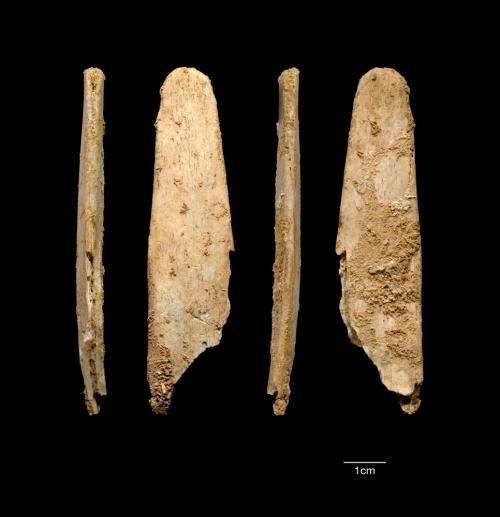 Neandertals made the first specialized bone tools in Europe