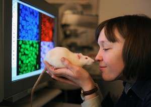 Epigenetics: Neurons remember because they move genes in space