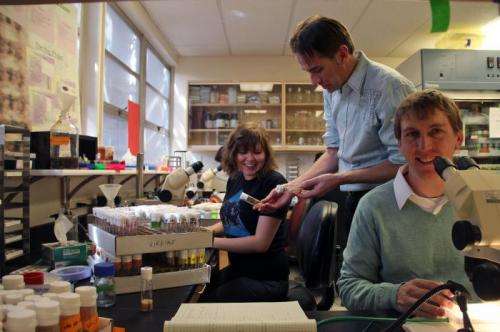 Nerve regeneration research and therapy may get boost from new discovery