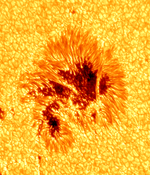 New and remarkable details of the sun now available from NJIT's Big Bear Observatory