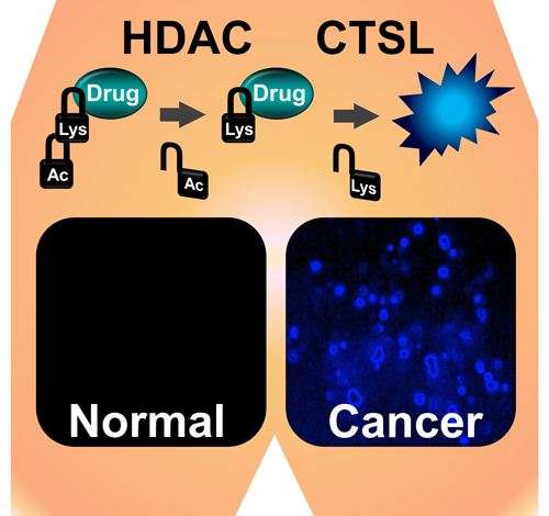 New Cancer Targeting Technique to Improve Cancer Drugs