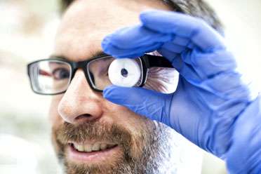 New hope for patients with macular degeneration