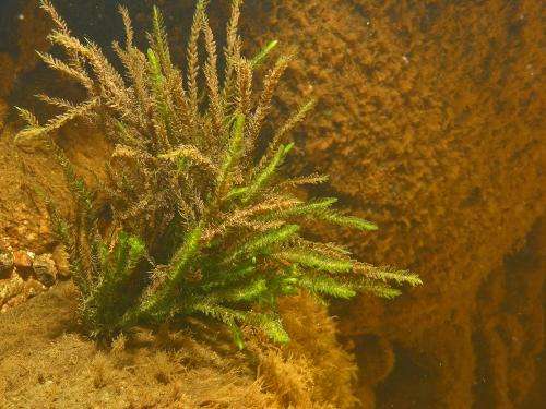 New information on the underwater environment in the Finnish coastal areas