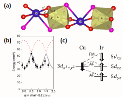 New physics in a copper-iridium compound