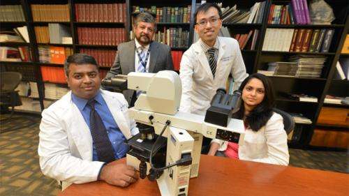 New test enables early diagnosis of liver cancer