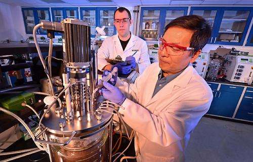 New yeast strain could lower costs for cellulosic ethanol production