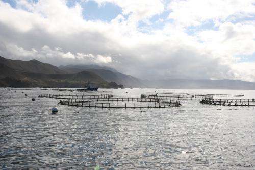 NOAA: Coastal ocean aquaculture can be environmentally sustainable