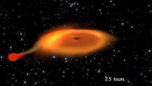 Black hole-star pair orbiting at dizzying speed (w/ video)