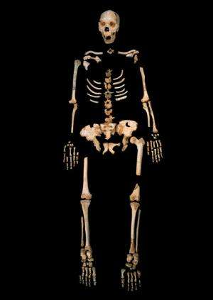 Oldest hominin DNA sequenced