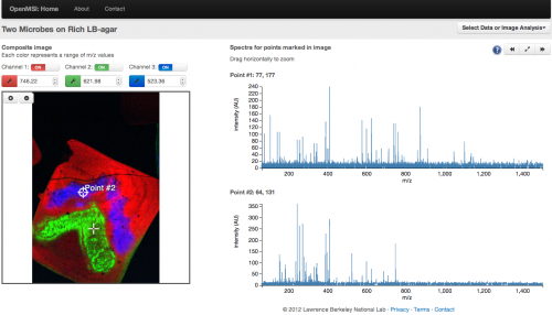 OpenMSI: A science gateway to sort through bio-imaging’s big datasets