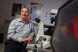 Parasitic worms may help treat diseases associated with obesity