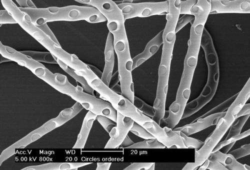 Patterns on extremely small fibres: Study pushes regenerative medicine another step forward
