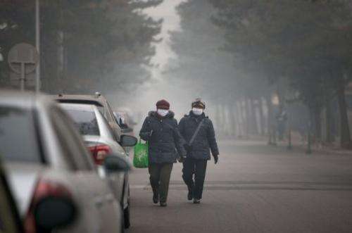 People wearing masks walk down a road during severe pollution in Beijing on January 29, 2013
