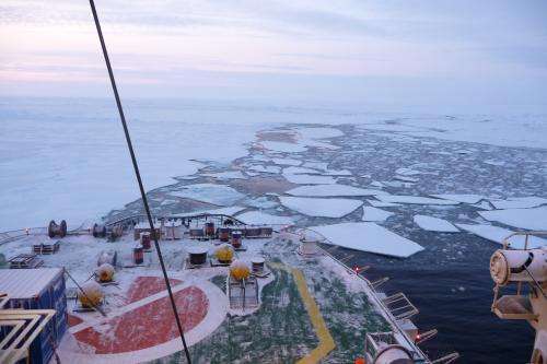 Pioneering study calculates Arctic Ocean nutrient budget