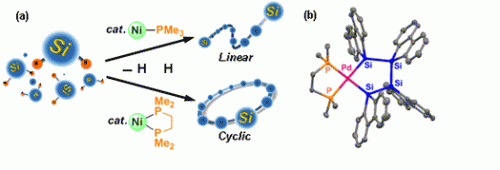 Polysilane rings: Selective cyclopolymerization using transition metals
