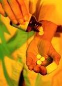 Prescription painkillers trail only marijuana in abuse rates, report shows