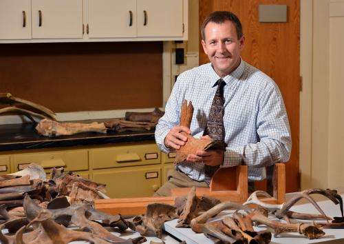 Professor identifies oldest and youngest stag-moose in North America