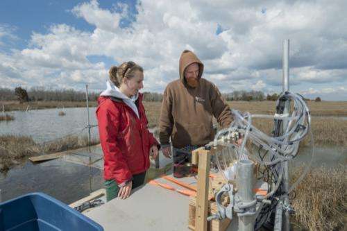 Protecting tidal wetlands: Scientists study tidal flow, sediment movement in salt marsh