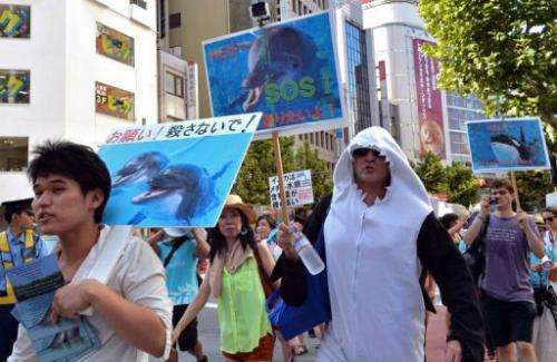 Protestors rally against the start of Japan's annual dolphin hunt in Tokyo on August 31, 2013