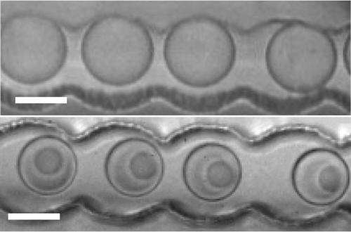 Protocells formed in salt solution--closer to synthetic life than anyone
