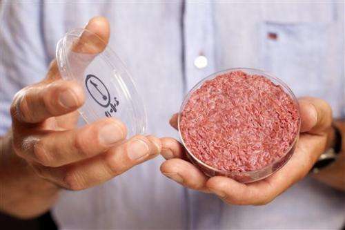 Q&amp;A on the science of growing hamburger in the lab