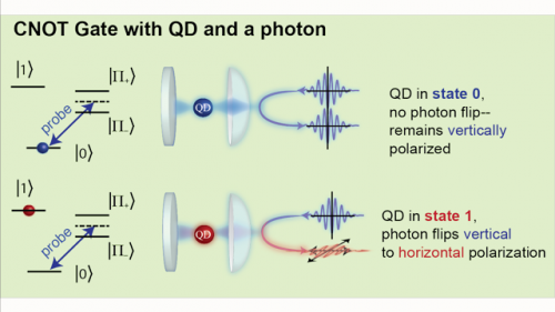 Quantum dot commands light: A solid state ultrafast logic gate on a photon