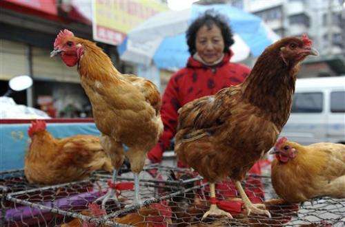 Questions in China on how H7N9 flu strain killed 2