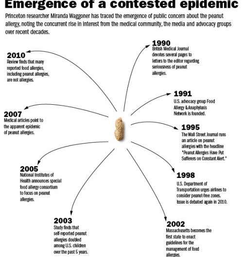 Researcher digs into the contested peanut-allergy epidemic