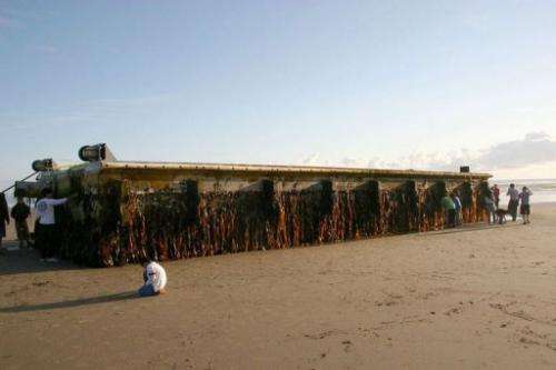 Residents of Agate Beach, Oregon look at a huge floating dock from Japan that washed ashore, June 5, 2012