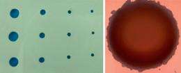 Rethinking the process used to machine industrially important ceramics could reduce damaging cracks and chips