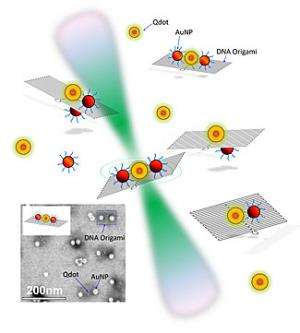 DNA and quantum dots: All that glitters is not gold