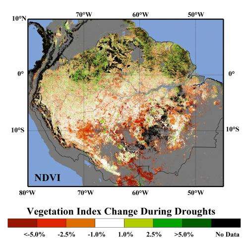 Risk of Amazon rainforest dieback is higher than IPCC projects