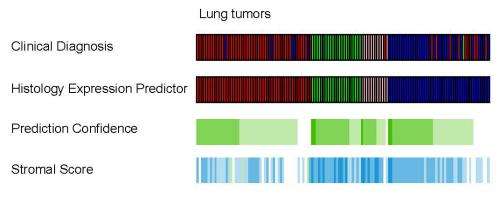 RNA diagnostic test from paraffin improves lung cancer diagnosis over routine microscopic evaluation