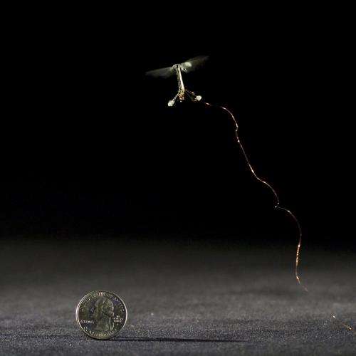 Robotic insects make first controlled flight