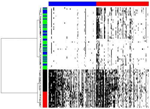 The CORE of the matter: Identifying recurrent genomic regions to determine tumor phylogeny