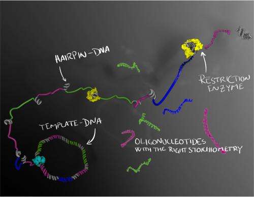 New method for mass-producing high-quality DNA molecules