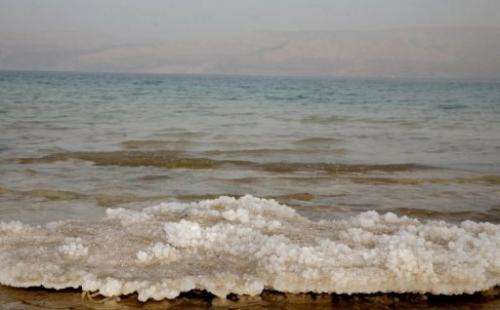 Salt crystals are pictured on March 22, 2007 on the coast of the Dead Sea