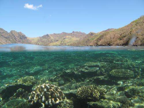 Saving Fiji's coral reefs linked to forest conservation upstream