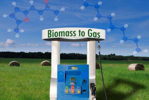 Scientists improve biomass-to-fuel process
