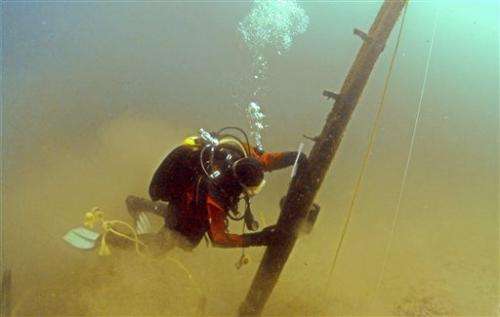 Scientists: Timber in Lake Michigan centuries old