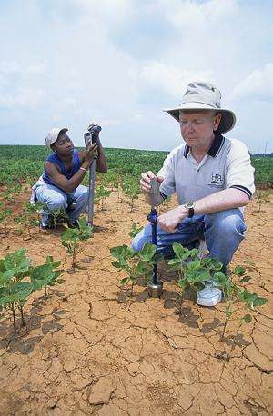 Scientists verify soil moisture data collected by satellites