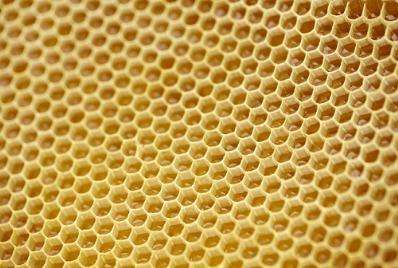 Secrets of bee honeycombs revealed