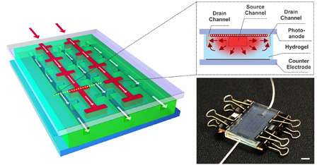 Self-healing solar cells 'channel' natural processes