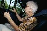 Seniors more likely to crash when driving with pet: study