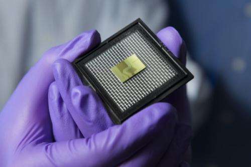 Sensor on a chip: New technology holds potential for monitoring ecosystem, human health