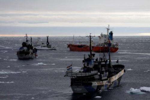 Ships from the environmental group Sea Shepherd surround a supply vessel (back R), on February 20, 2013