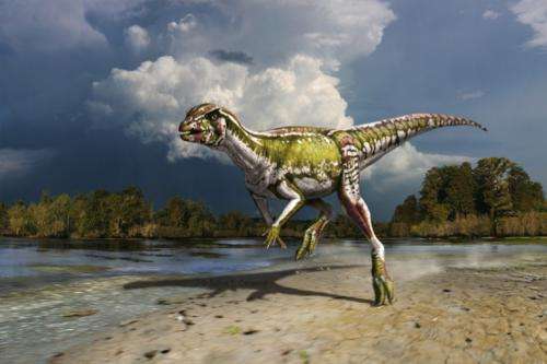Small, speedy plant-eater extends knowledge of dinosaur ecosystems