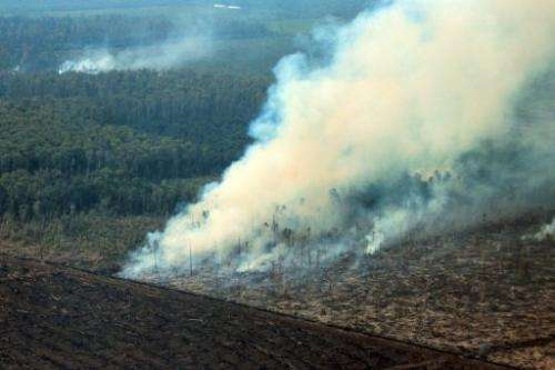 Smoke envelopes a peatland forest hit by fire on Indonesia's Sumatra island as it is converted for palm oil plantation