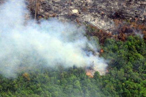 Smoke from fires in Pelalawan regency in Riau province on Indonesia's Sumatra island on June 21, 2013