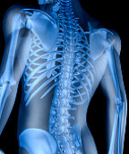 Spinal fusion material, BMP, increases risk of benign tumors, not cancer